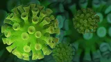 coronavirus_obr_162397.jpg