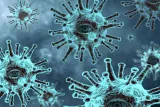 epidemic-4952933_1920_145627.jpg