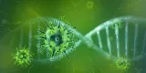 coronavirus-4833754_1920_145728.jpg