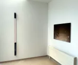 2116299.jpg