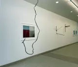 3116300.jpg