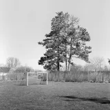 Niels Østergaard Munk Niels Østergaard Munk